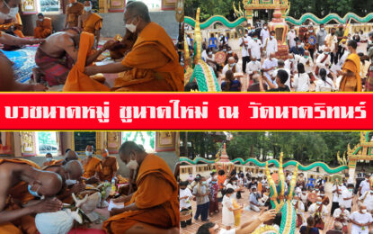 บวชนาคหมู่ ชูนาคใหม่